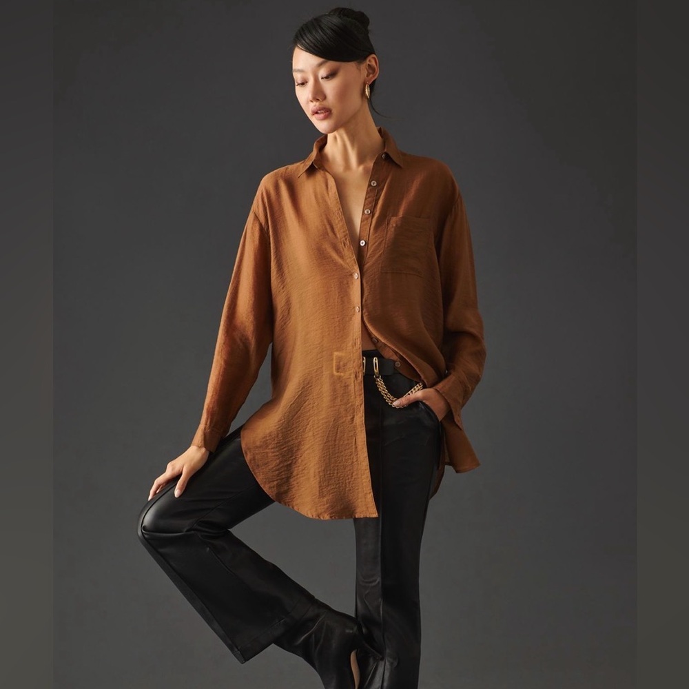 Pilcro Sheer Buttondown Blouse